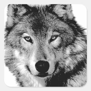 Black & White Wolf Square Sticker