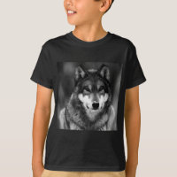 Black & White Wolf