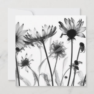 Black & White X-Ray Flowers