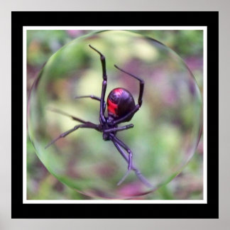 Black Widow Print
