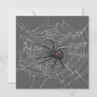 Black Widow Spider And Spiderweb Drawing Art
