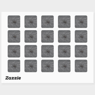 Black Widow Spider And Spiderweb Drawing Art Square Sticker