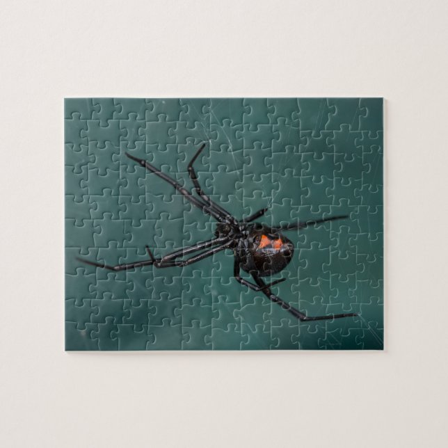 Black Widow Spider Jigsaw Puzzle (Horizontal)