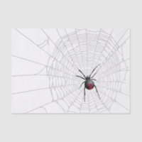 Black Widow Spider Web