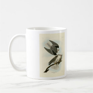 Black-Winged Hawk - Audubon's Birds of America Coffee Mug