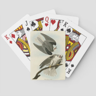 Black-Winged Hawk - Audubon's Birds of America Playing Cards