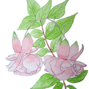 black with pretty pink flowers all over floral stone coaster