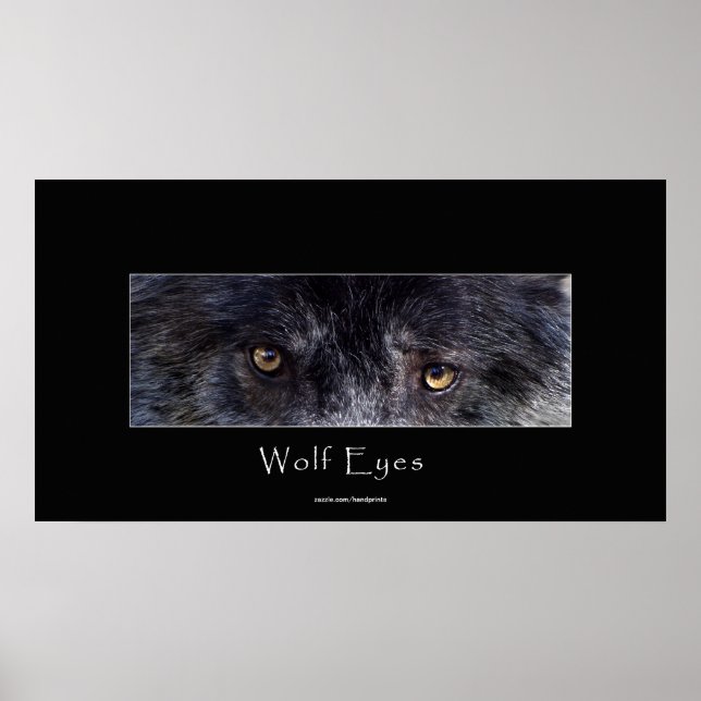 Black Wolf Eyes Wildlife Poster (Front)