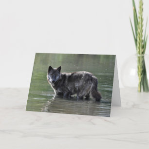 Black Wolf Greeting Card