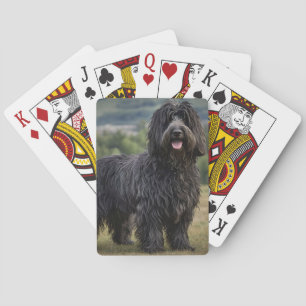 Black Woolly Bergamasco Sheepdog, Playing Cards