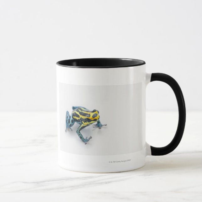 Black, Yellow and Blue Poison Dart Frog Mug (Right)