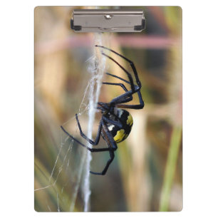 Black & Yellow Argiope Garden Spider Clipboard