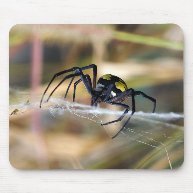 Black & Yellow Argiope Garden Spider Mousepad (Front)