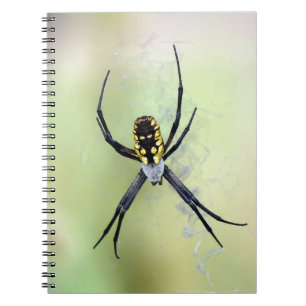 Black & Yellow Argiope Garden Spider Notepad Notebook