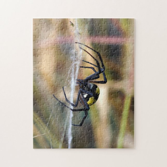 Black & Yellow Argiope Garden Spider Puzzle (Vertical)
