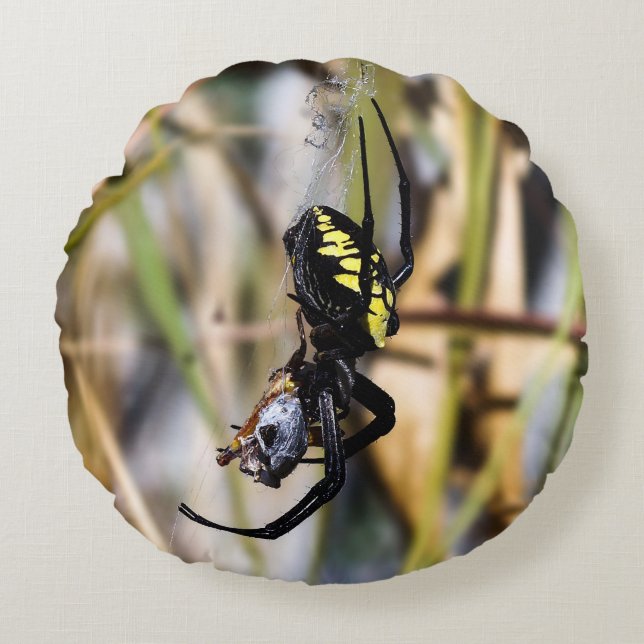 Black & Yellow Argiope Garden Spider  Round Pillow (Front)