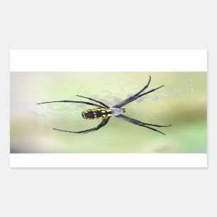 Black & Yellow Argiope Garden Spider Sticker