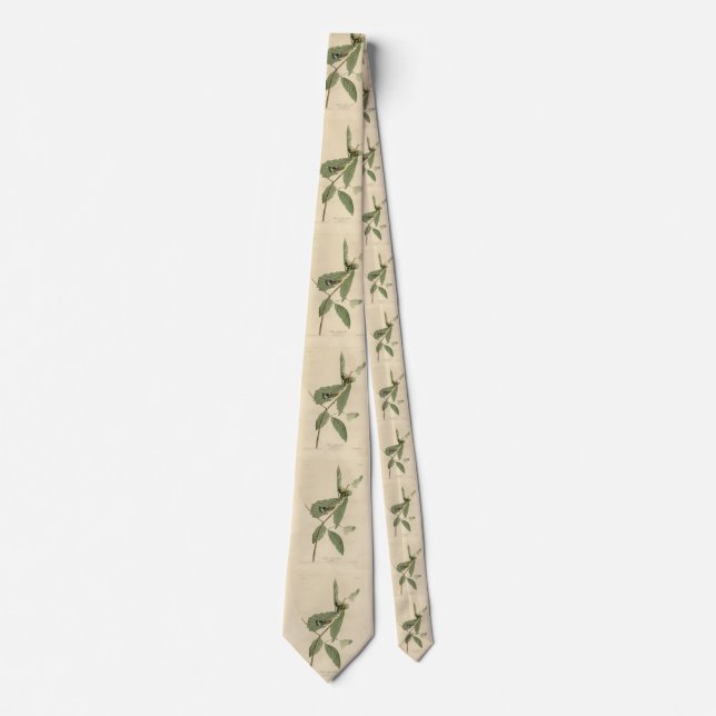 Black & Yellow Warbler, Audubon's Birds of America Tie (Front)