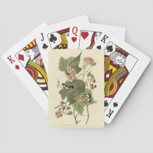 Black & Yellow Warblers Audubon's Birds of America Playing Cards