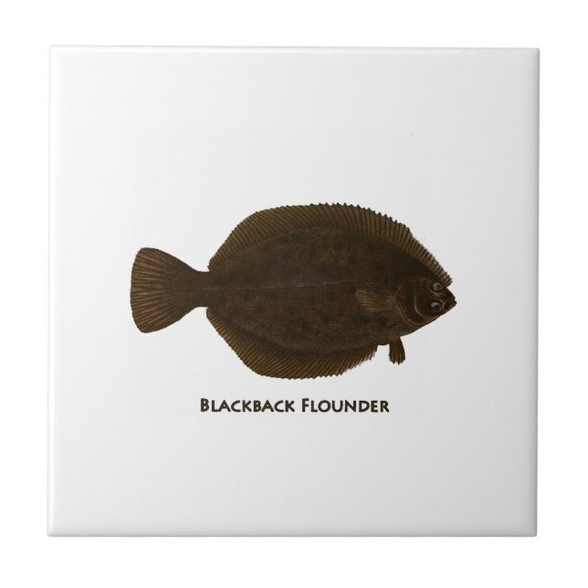 Blackback Flounder Tile (Front)