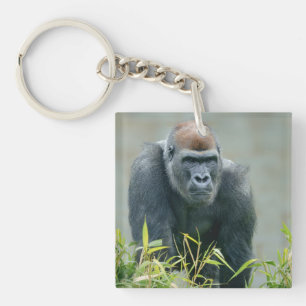 Blackback Gorilla Lope Key Ring