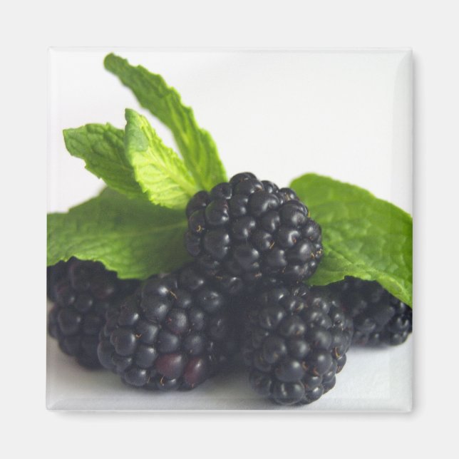 Blackberries and Mint Magnet (Front)