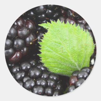 Blackberries Classic Round Sticker