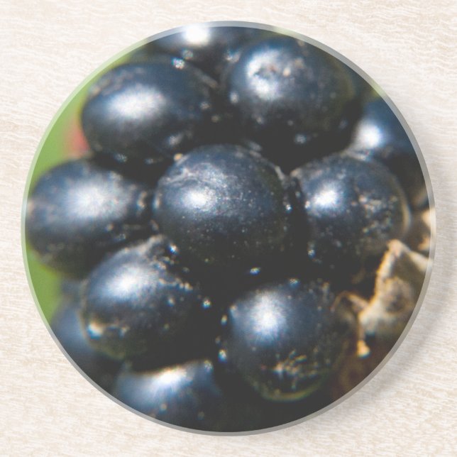 Blackberries Coaster (Front)