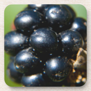 Blackberries Coaster