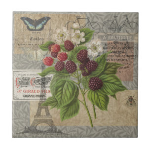 Blackberries Floral Garden Flower Butterfly Art Ceramic Tile