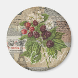 Blackberries Floral Garden Flower Butterfly Art Magnet