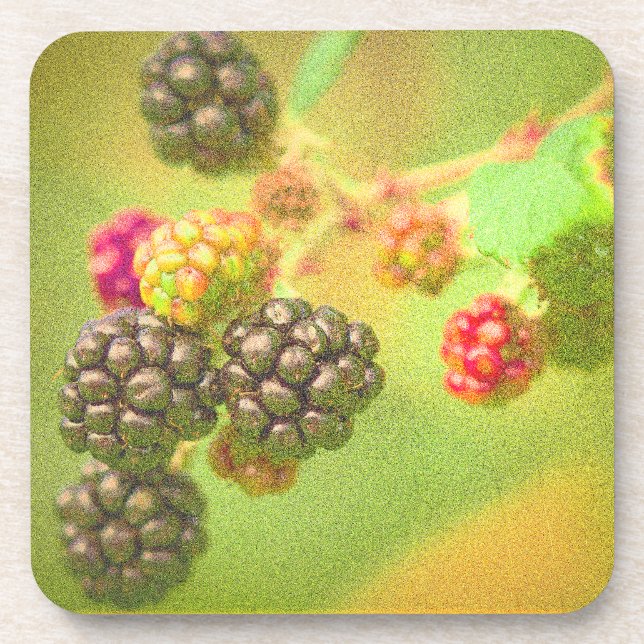 "Blackberries Fruit Plant" Cute Photo. Buy Now Coaster (Front)