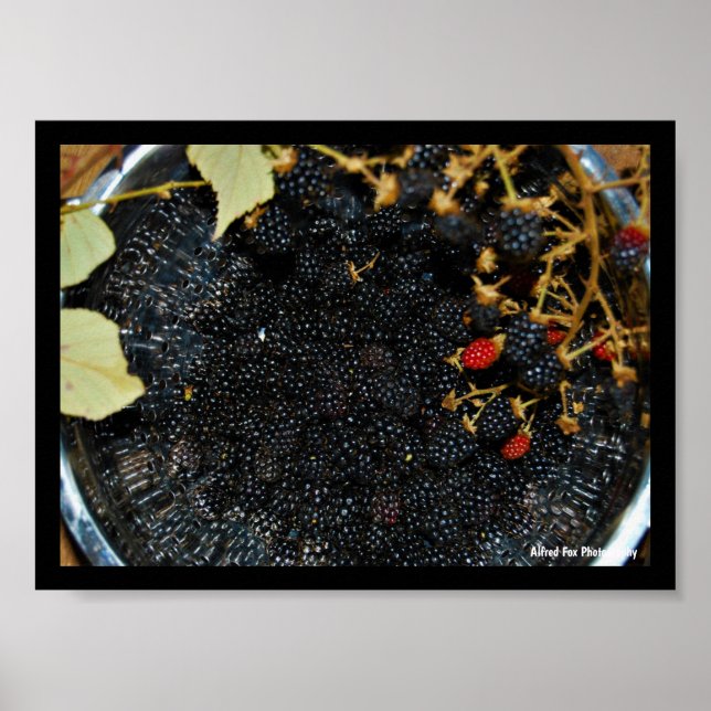 Blackberries in Colander Poster (Front)