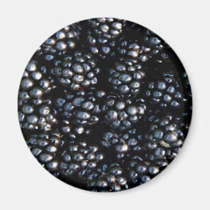 Blackberries Magnet