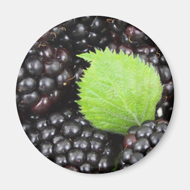 Blackberries Magnet (Front)