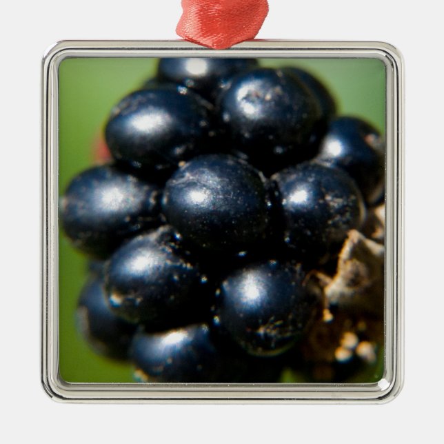 Blackberries Metal Tree Decoration (Front)