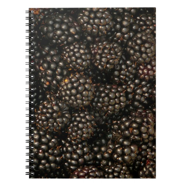 Blackberries Notebook (Front)