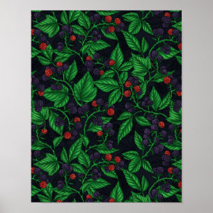 Blackberries on dark gray poster