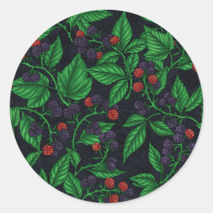 Blackberries on dark grey classic round sticker