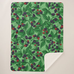 Blackberries on green sherpa blanket