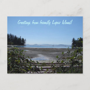 Blackberries on Lopez Postcard