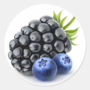 Blackberry and blueberries classic round sticker