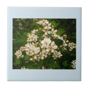 Blackberry Bloom Ceramic Tile