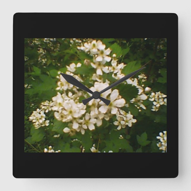 Blackberry Blossom Square Wall Clock (Front)