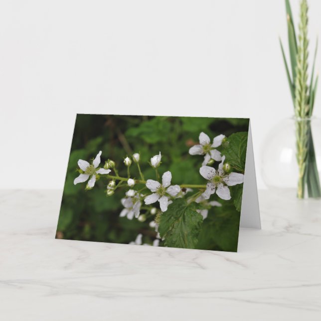 Blackberry Blossoms Card (Front)