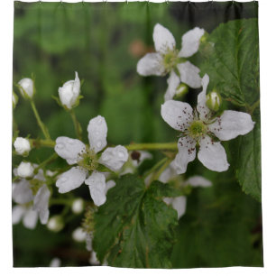 Blackberry Blossoms Shower Curtain