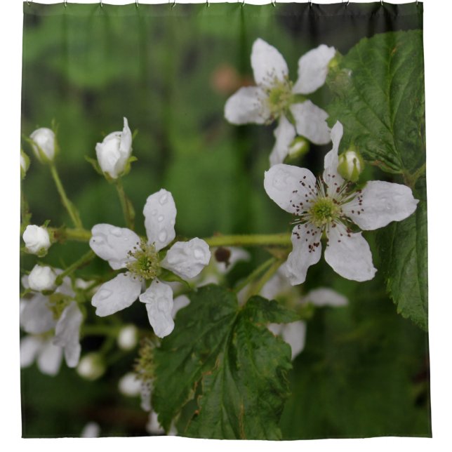 Blackberry Blossoms Shower Curtain (Front)