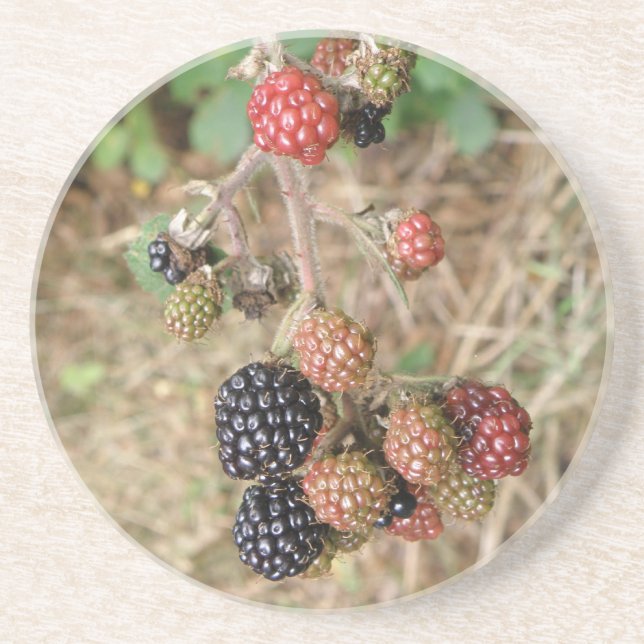 Blackberry Bonanza Coasters (Front)