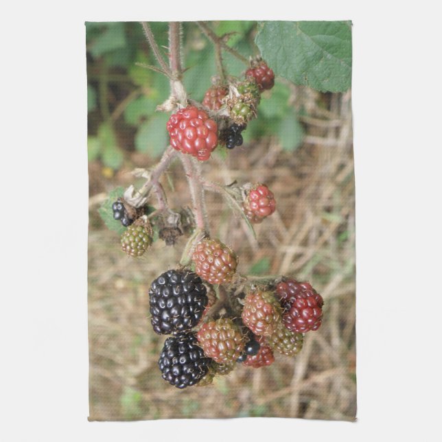 Blackberry Bonanza Kitchen Towel (Vertical)