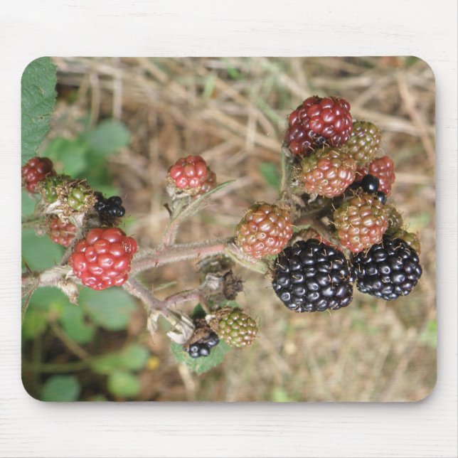 Blackberry Bonanza Mousepad (Front)